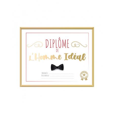 CADRE DIPLOME HOMME IDEAL