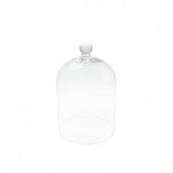 CLOCHE VERRE 20CMX30CM