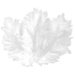 PLUME DE DECORATION BLANCHE