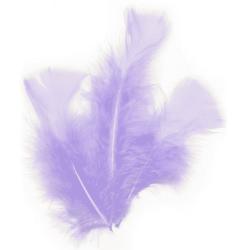 PLUME DE DECORATION LILAS