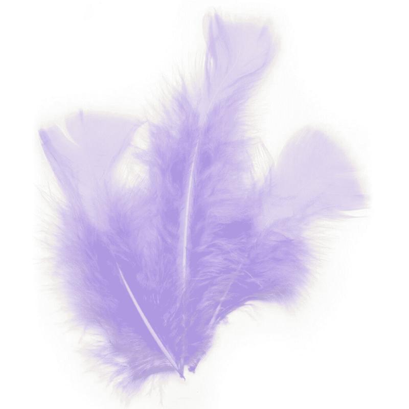 PLUME DE DECORATION LILAS