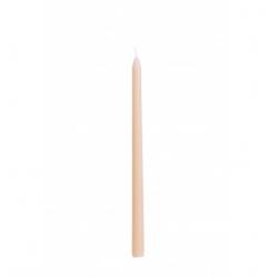 SET 2 BOUGIES FLAMBEAU PECHE 30CM