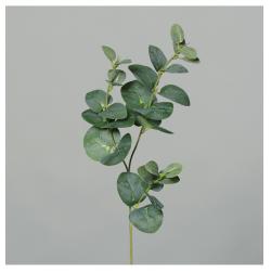 3 TIGES EUCALYPTUS VERT 64CM