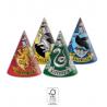 6 chapeau Harry Potter