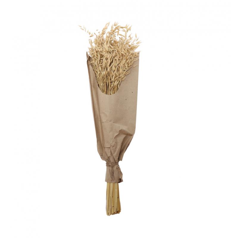 BOUQUET AVOINE NATUREL 100G 70CM