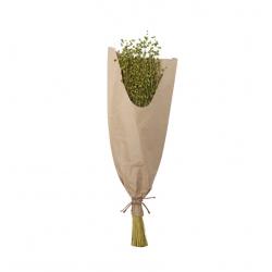 BOUQUET DE LIN 100G 60CM VERT CLAIR