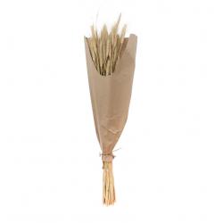 BOUQUET EPIS DE BLE NATURELS 60G 70CM ENV 40 TIGES