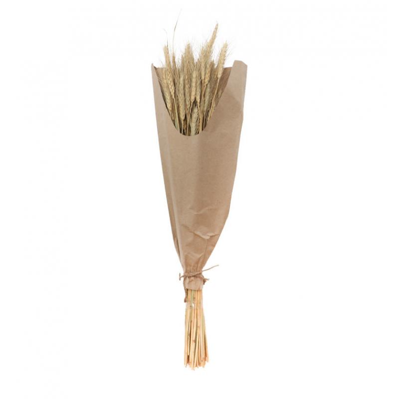 BOUQUET EPIS DE BLE NATURELS 60G 70CM ENV 40 TIGES