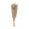 BOUQUET EPIS DE BLE NATURELS 60G 70CM ENV 40 TIGES