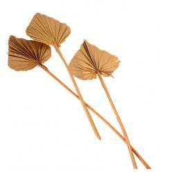 10 FEUILLES DE PALMIER DECOUPEES 55CM NATUREL