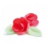 BOUTONS DE ROSE  AZYME ROUGE / 15