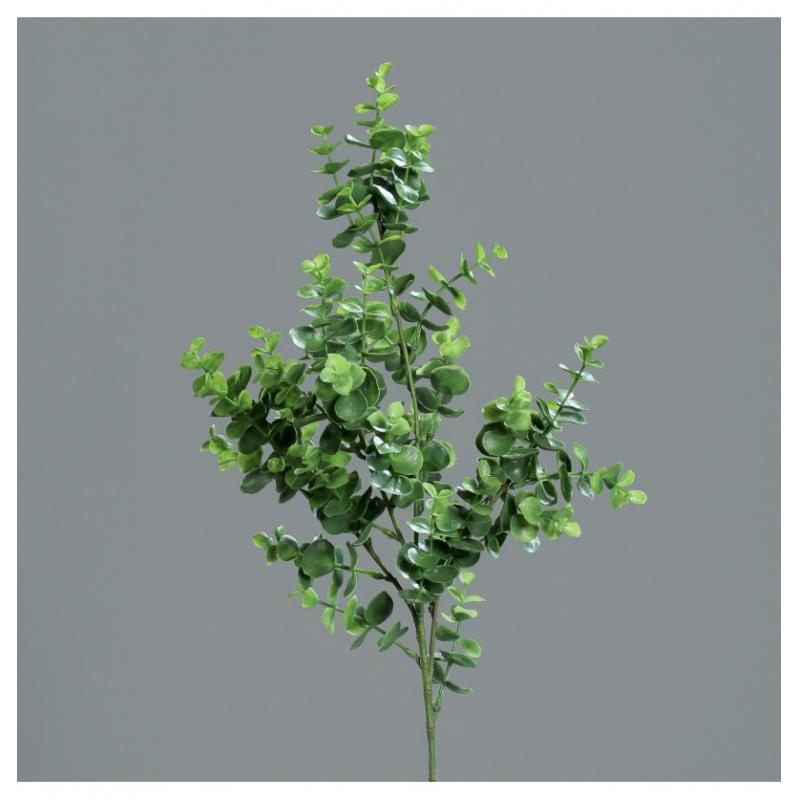 BRANCHE EUCALYPTUS VERT 70CM