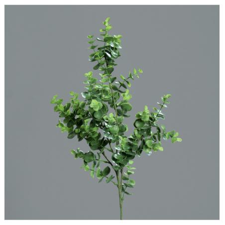 BRANCHE EUCALYPTUS VERT 70CM