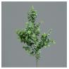 BRANCHE EUCALYPTUS VERT 70CM